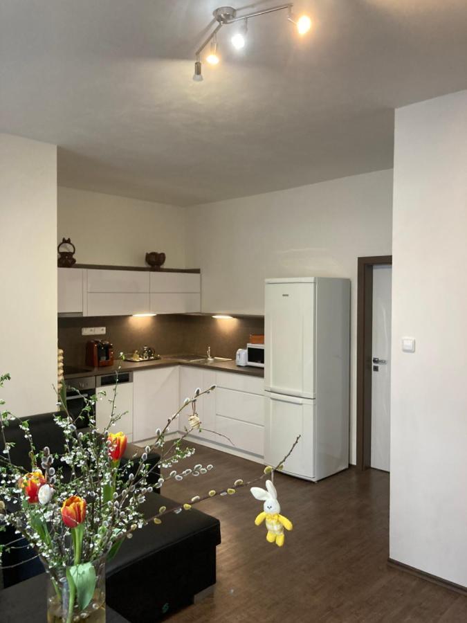 פראג Apartments Near The Pond מראה חיצוני תמונה